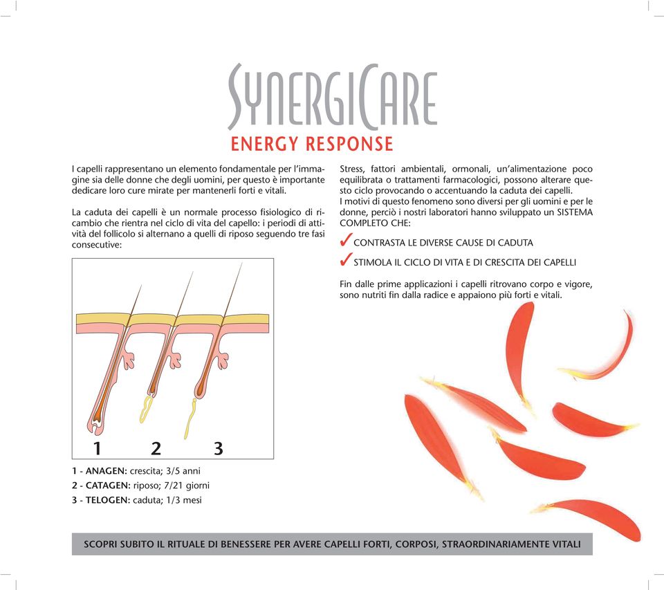 consecutive: Stress, fattori ambientali, ormonali, un alimentazione poco equilibrata o trattamenti farmacologici, possono alterare questo ciclo provocando o accentuando la caduta dei capelli.