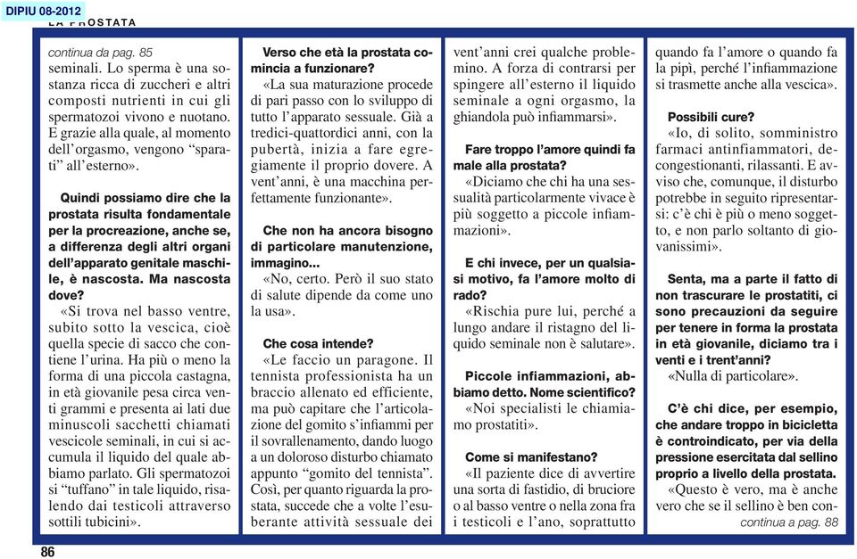 Quindi possiamo dire che la prostata risulta fondamentale per la procreazione, anche se, a differenza degli altri organi dell apparato genitale maschile, è nascosta. Ma nascosta dove?