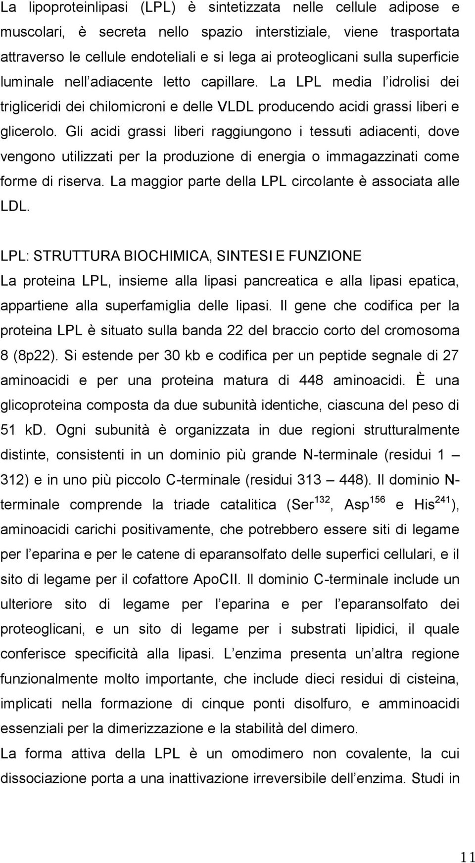 Gli acidi grassi liberi raggiungono i tessuti adiacenti, dove vengono utilizzati per la produzione di energia o immagazzinati come forme di riserva.