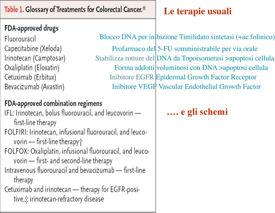 da Topoisomerasi >apoptosi cellula Forma addotti voluminosi con DNA >apoptosi cellula