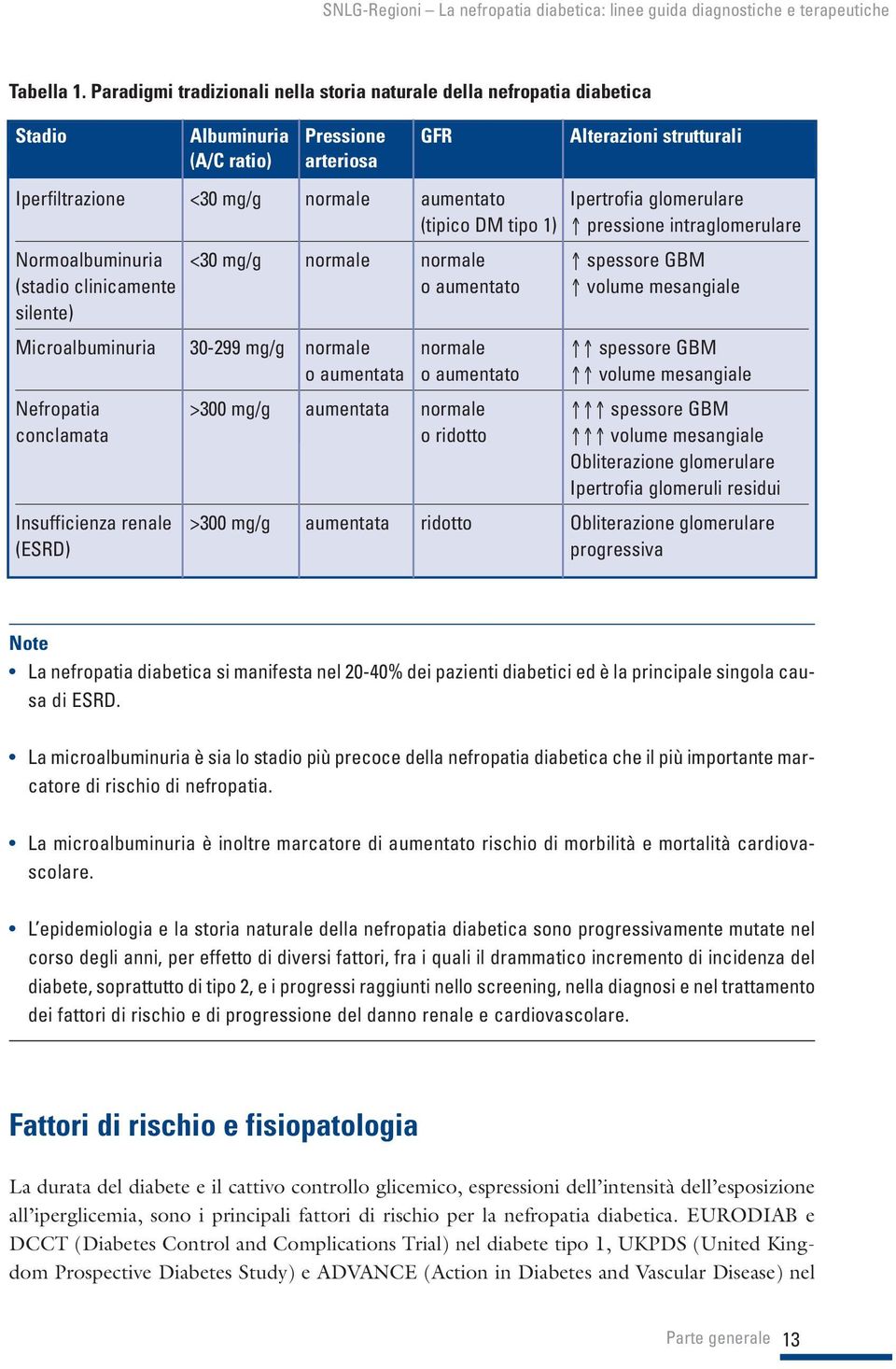 Ipertrofia glomerulare (tipico DM tipo 1) pressione intraglomerulare Normoalbuminuria <30 mg/g normale normale spessore GBM (stadio clinicamente o aumentato volume mesangiale silente)