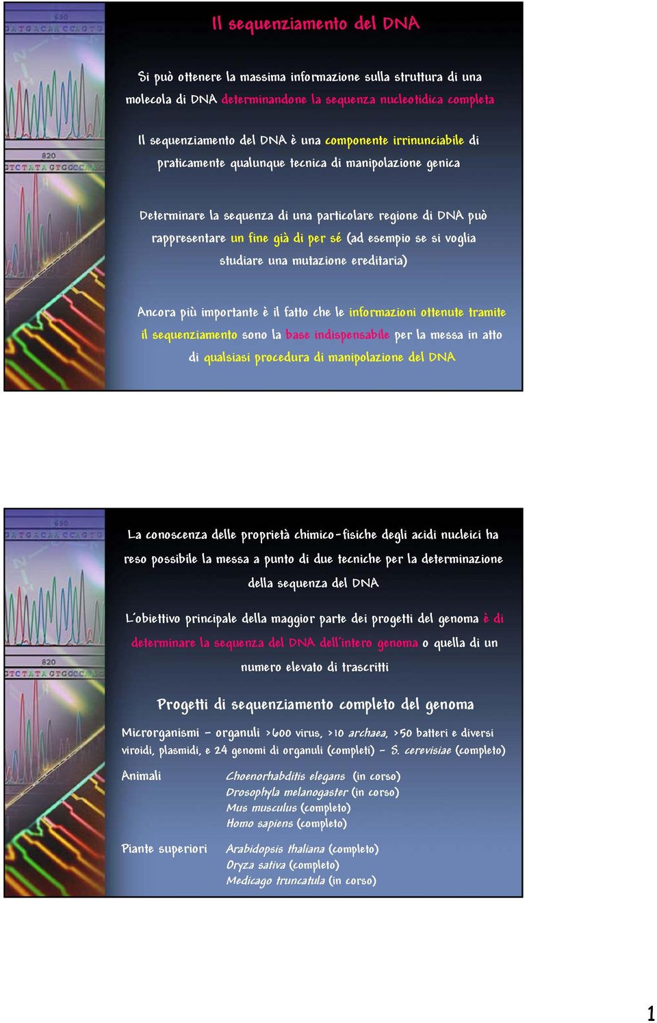 studiare una mutazione ereditaria) Ancora più importante è il fatto che le informazioni ottenute tramite il sequenziamento sono la base indispensabile per la messa in atto di qualsiasi procedura di