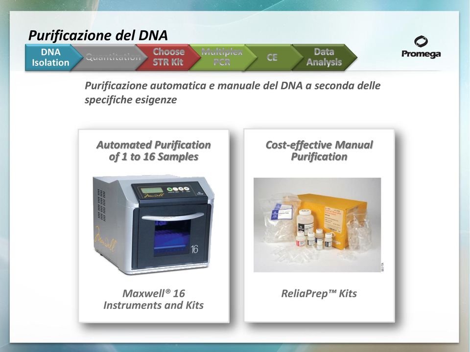 esigenze Automated Purification of 1 to 16 Samples