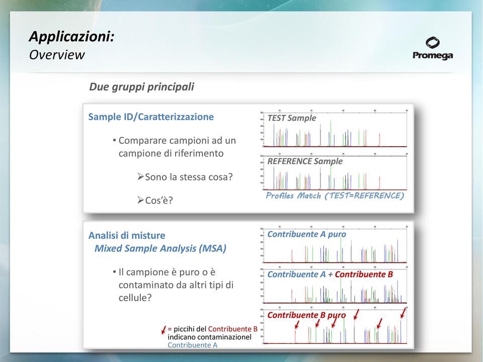 TEST Sample REFERENCE Sample Profiles Match (TEST=REFERENCE) Analisi di misture Mixed Sample Analysis (MSA) Il