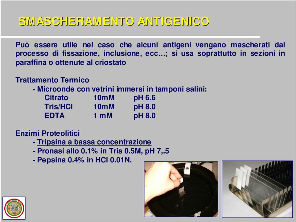 Termico - Microonde con vetrini immersi in tamponi salini: Citrato 10mM ph 6.6 Tris/HCl 10mM ph 8.0 EDTA 1 mm ph 8.