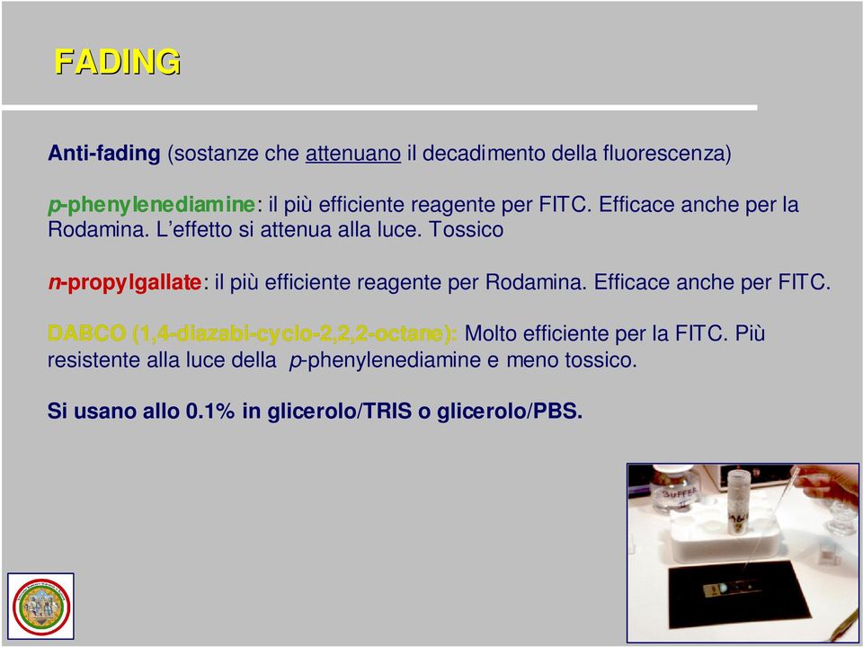 Tossico n-propylgallate: il più efficiente reagente per Rodamina. Efficace anche per FITC.