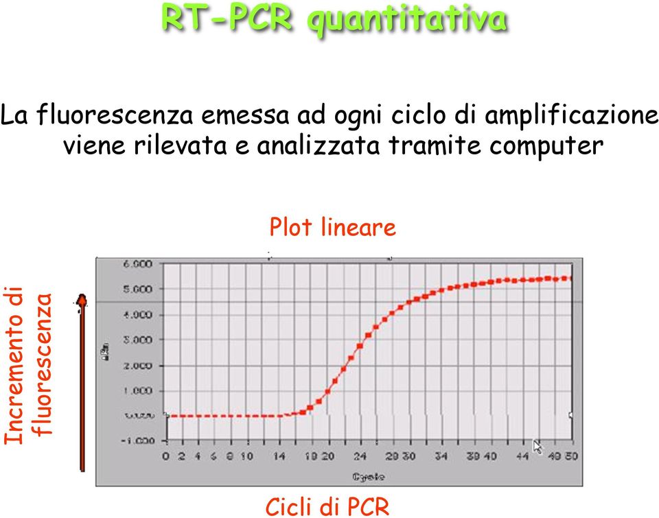 rilevata e analizzata tramite computer