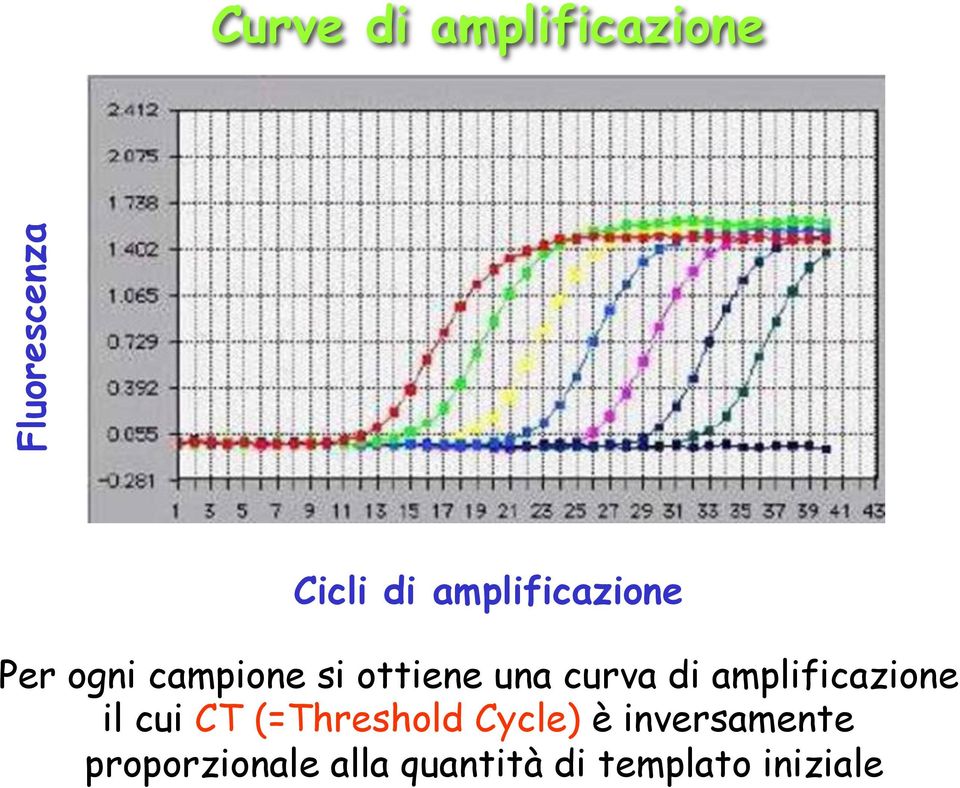 curva di amplificazione il cui CT (=Threshold Cycle)