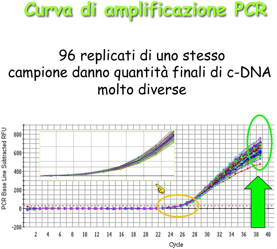 stesso campione danno