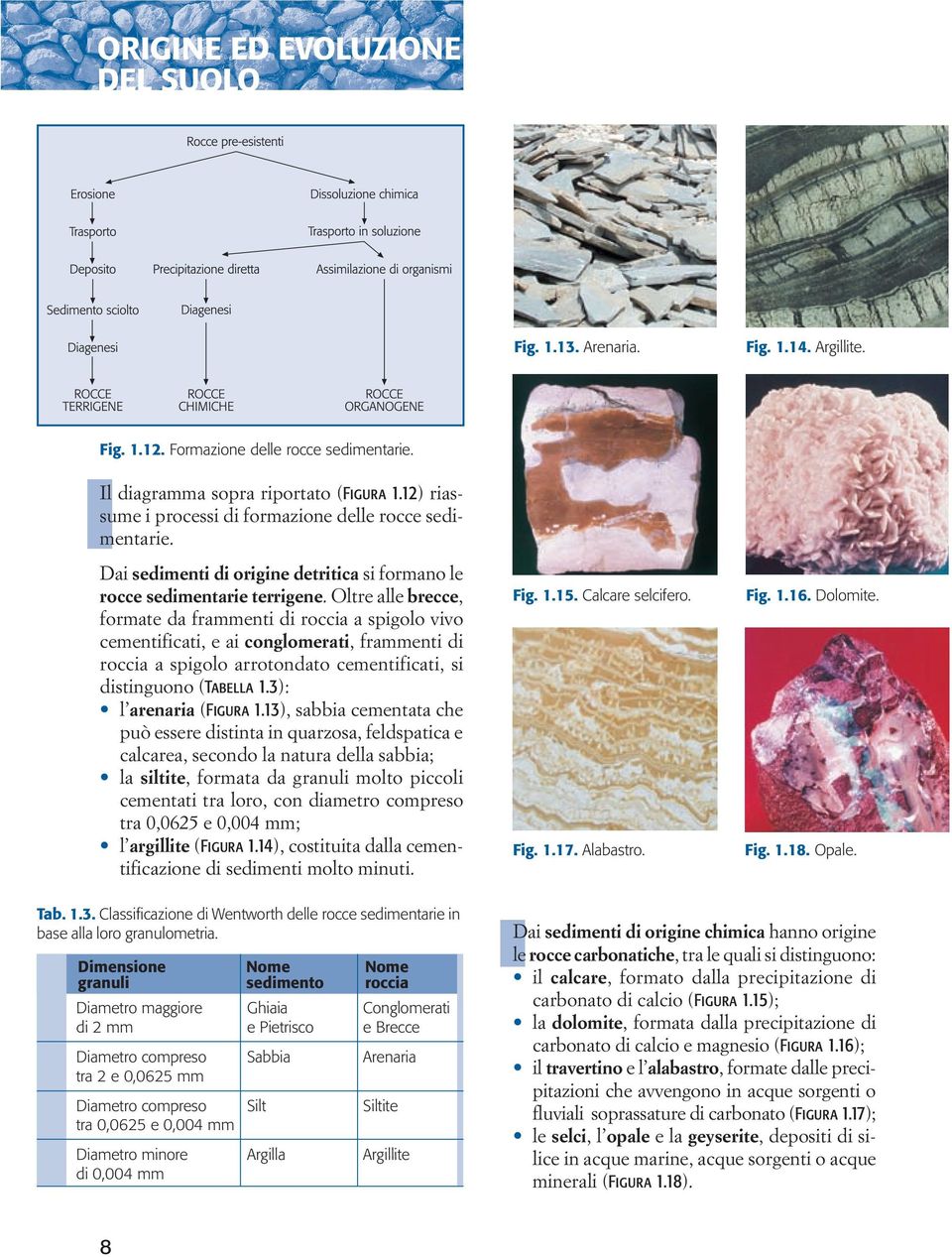 Oltre alle brecce, formate da frammenti di roccia a spigolo vivo cementificati, e ai conglomerati, fram menti di roccia a spigolo arrotondato cementificati, si distinguono (Tabella 1.