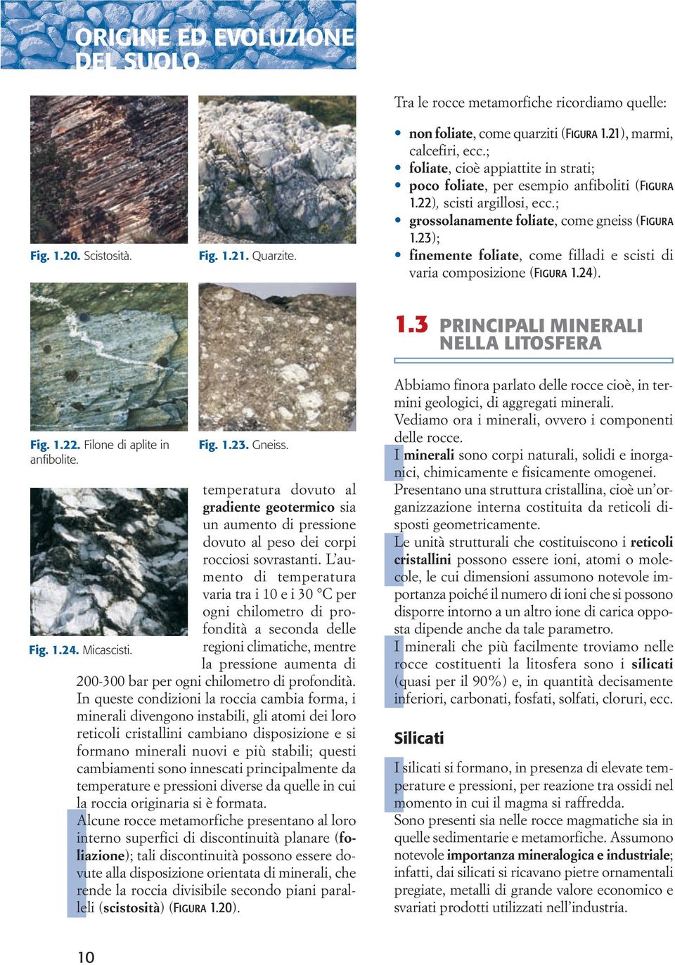 23); finemente foliate, come filladi e scisti di varia composizione (Figura 1.24). 1.3 principali minerali nella litosfera Fig. 1.22. Filone di aplite in anfibolite. Fig. 1.23. Gneiss.