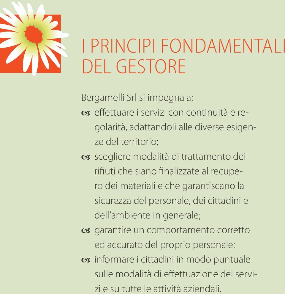 garantiscano la sicurezza del personale, dei cittadini e dell ambiente in generale; garantire un comportamento corretto ed accurato