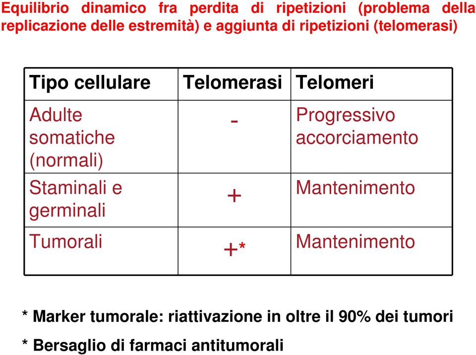 germinali Telomerasi Telomeri - Progressivo accorciamento + Mantenimento Tumorali +*