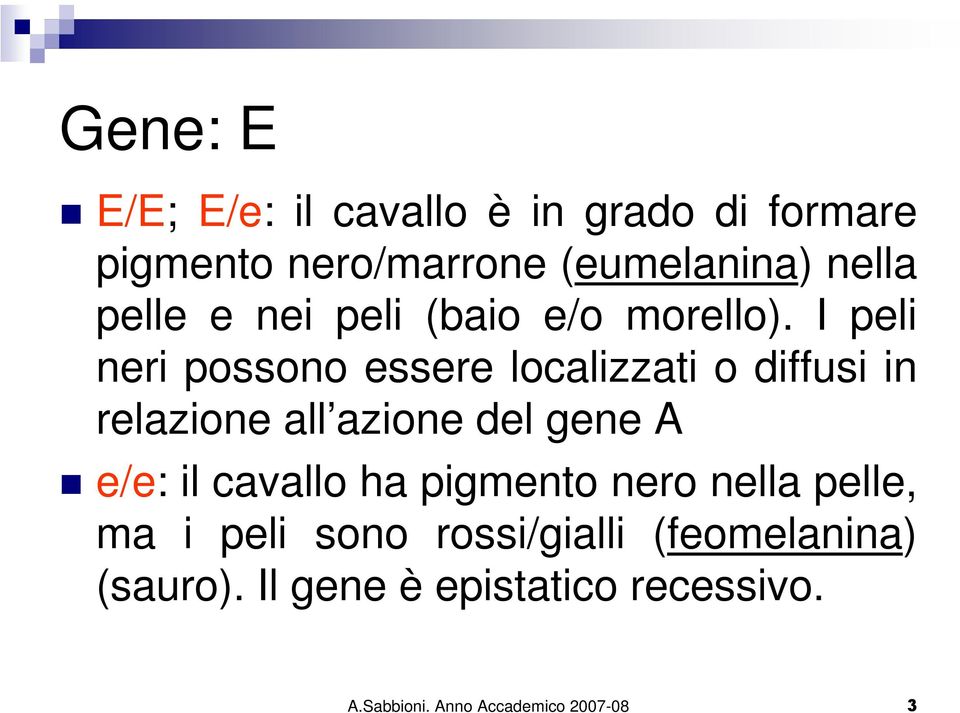 I peli neri possono essere localizzati o diffusi in relazione all azione del gene A e/e: il