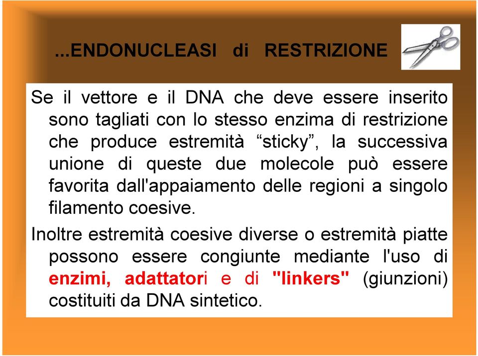 dall'appaiamento delle regioni a singolo filamento coesive.