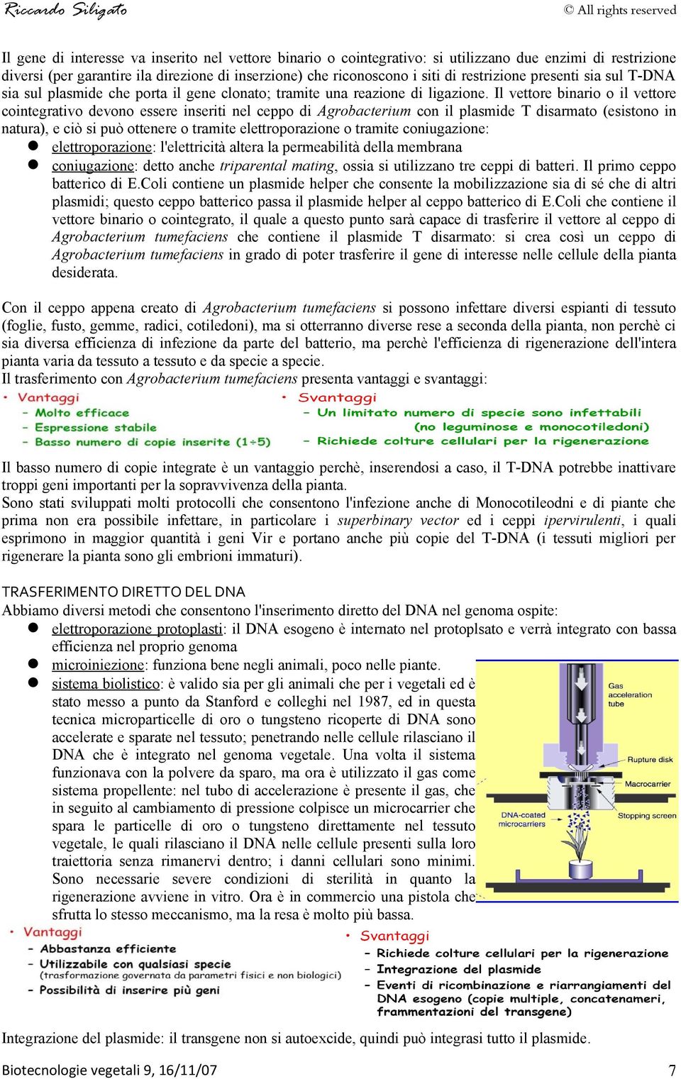 Il vettore binario o il vettore cointegrativo devono essere inseriti nel ceppo di Agrobacterium con il plasmide T disarmato (esistono in natura), e ciò si può ottenere o tramite elettroporazione o