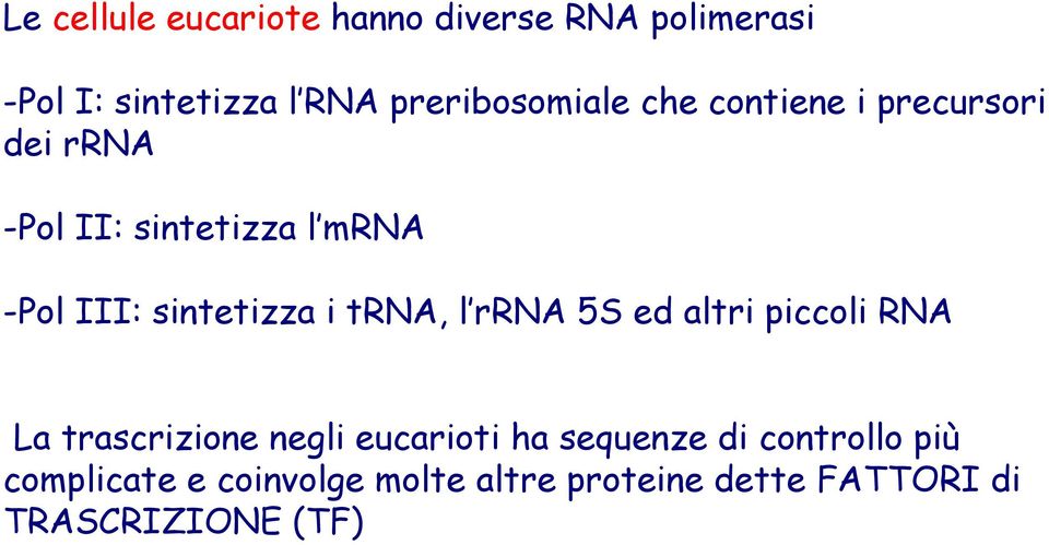 sintetizza i trna, l rrna 5S ed altri piccoli RNA La trascrizione negli eucarioti ha