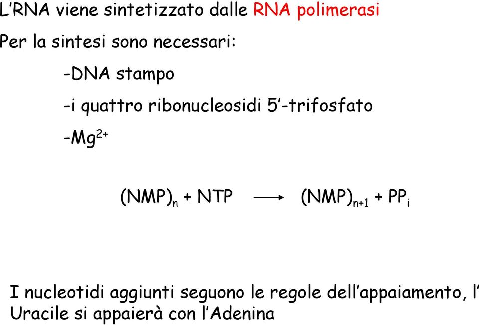 -trifosfato -Mg 2+ (NMP) n + NTP (NMP) n+1 + PP i I nucleotidi