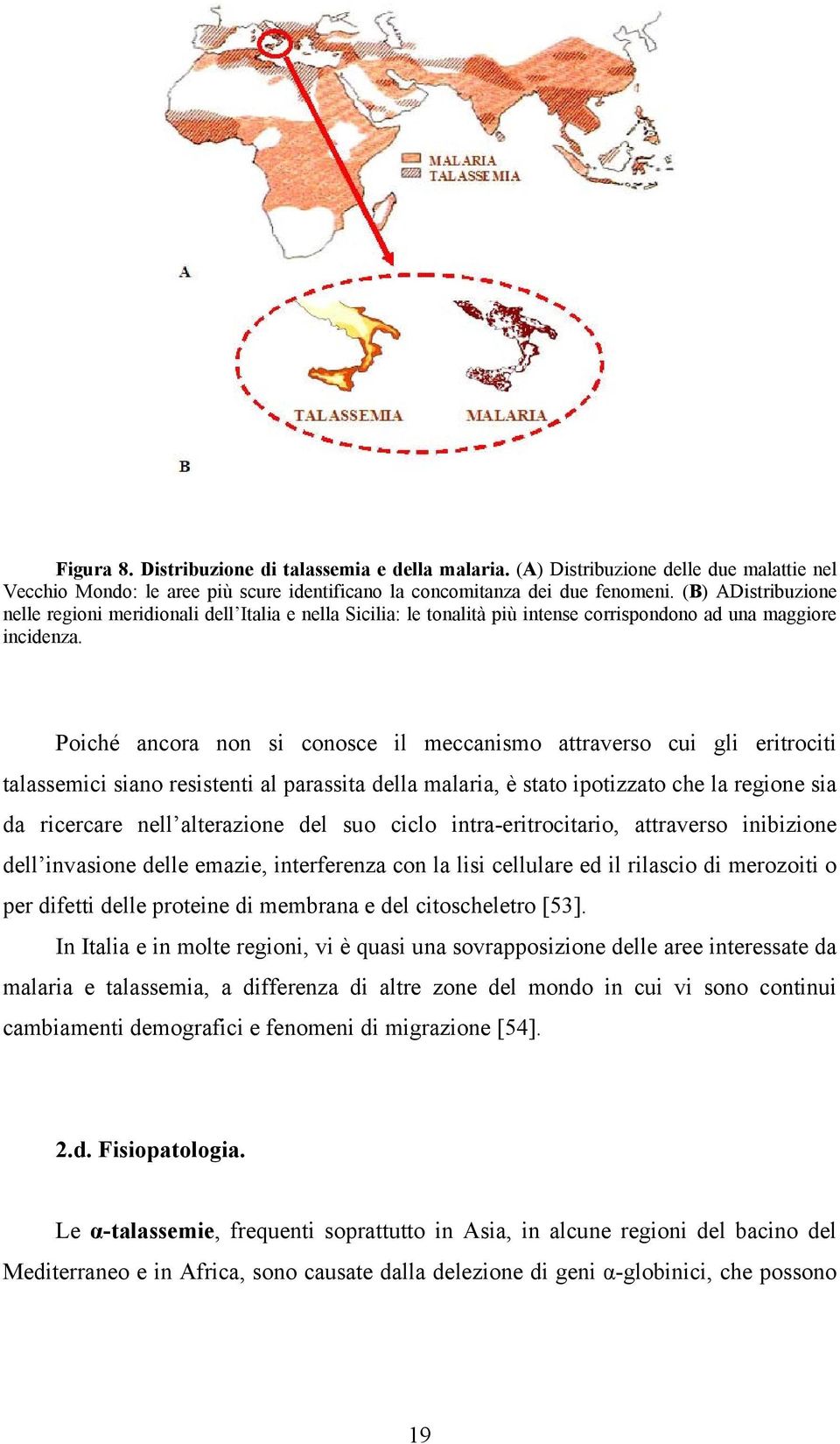 Poiché ancora non si conosce il meccanismo attraverso cui gli eritrociti talassemici siano resistenti al parassita della malaria, è stato ipotizzato che la regione sia da ricercare nell alterazione