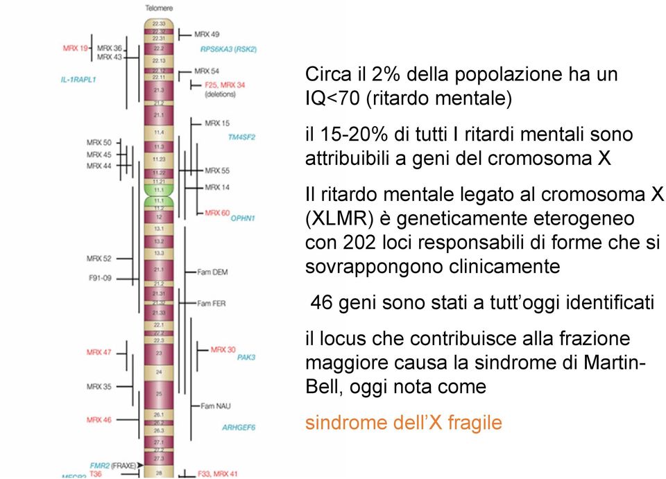 con 202 loci responsabili di forme che si sovrappongono clinicamente 46 geni sono stati a tutt oggi