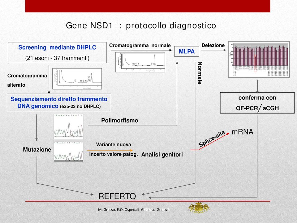 Sequenziamento diretto frammento DNA genomico (ex5-23 no DHPLC) Polimorfismo