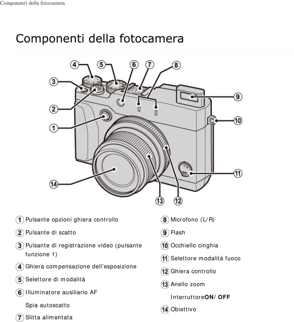 modalità Illuminatore ausiliario AF Spia autoscatto Slitta alimentata Microfono (L/R) Flash