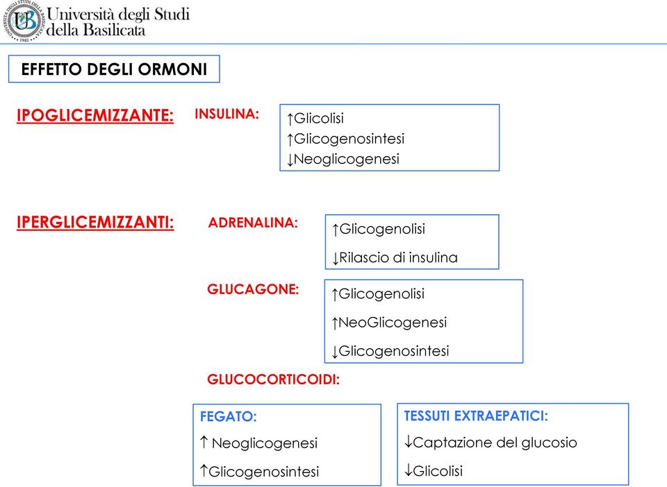 di insulina Glicogenolisi NeoGlicogenesi Glicogenosintesi GLUCOCORTICOIDI: