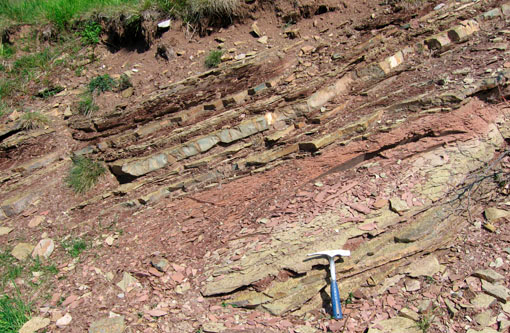 Una regolare alternanza di calcari marnosi, arenarie,