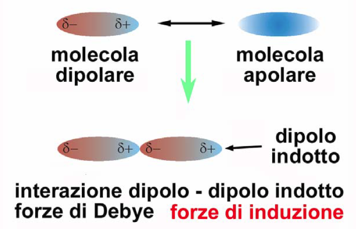 Interazione dipolo permanente-dipolo indotto Una molecola polare puñ indurre su una molecola apolare distante r un momento di dipolo indotto, dando luogo ad