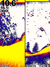 ➊ ➋ ➌ ➍ Visualizzazione delle pagine Aumento dell'ampiezza della schermata dello zoom È possibile aumentare l'ampiezza della parte ingrandita della pagina Zoom diviso.