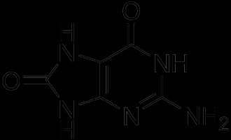 Il radicale idrossilico OH reagisce con vari amminoacidi per formare derivati idrossilati: H 2 O 2 reagisce con la metionina per formare metionina solfossido: