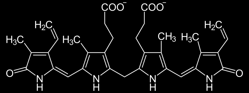 Proteine plasmatiche Proteine-SH (albumina), leganti metalli (Fe, Cu) (transferrina, ferritina) Acido urico Prodotto finale del