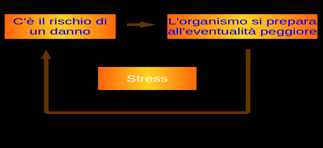 La reazione dell organismo ad una grave minaccia è di prepararsi all azione o di fuggire: «reazione di lotta o fuga» viene definita in termini tecnici.