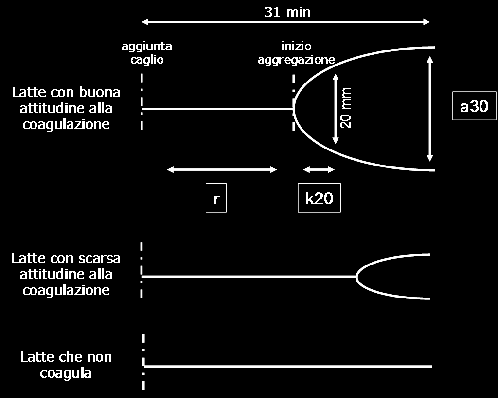 campo magnetico che si vengono a creare a seguito della coagulazione del latte, in pratica riducendo l'ampiezza dell oscillazione.