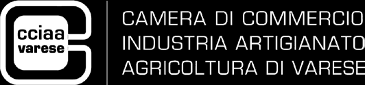 CAMERE DI COMMERCIO DELLA LOMBARDIA ATTIVITÀ DI AGENTE DI AFFARI IN MEDIAZIONE Istruzioni comuni per