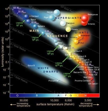 Il Diagramma HR Nel diagramma HR sono riportate le luminosità delle stelle in funzione della temperatura