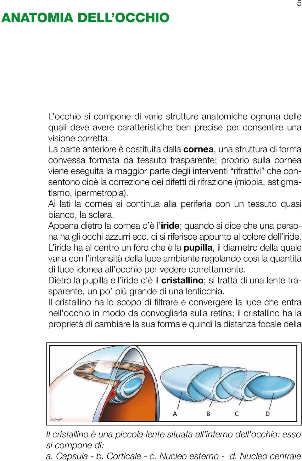 consentono cioè la correzione dei difetti di rifrazione (miopia, astigmatismo, ipermetropia). Ai lati la cornea si continua alla periferia con un tessuto quasi bianco, la sclera.