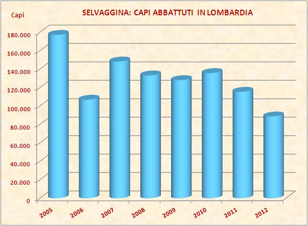 IL MERCATO