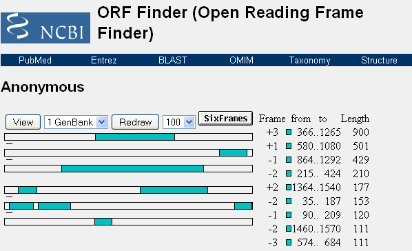 Esistono anche altri programmi (come ORF Finder all NCBI) che offrono una veste grafica alla traduzione in silico Altri Siti interessanti (anche con animazioni) Trascrizione e traduzione: www.