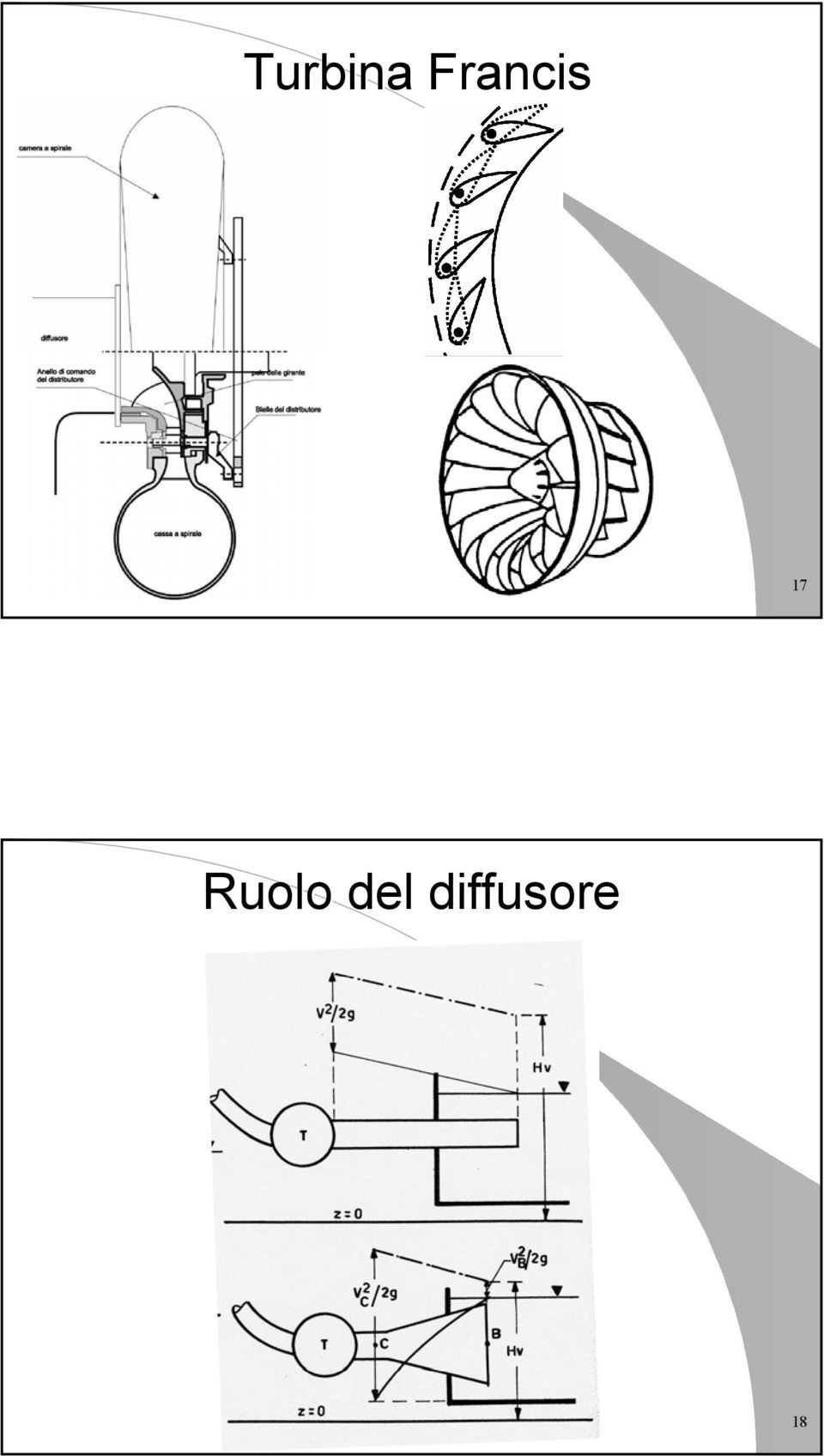 Ruolo del