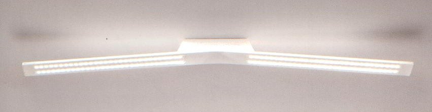 FOGLIA (Applique a Parete) ARCHITECTURAL DESIGN Temperatura Colore 12 LED 2 WATT 6 LED 2 WATT 230V 3000K 70000h Indice di Resa Cromatica > 75 Efficienza (Lm/W) 80 Temperatura Operativa -20 / 50