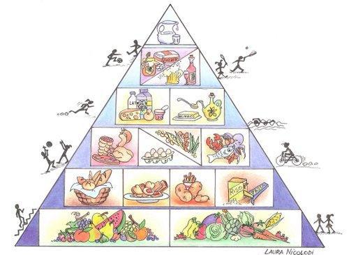 La piramide alimentare Gli alimenti sono stati divisi in gruppi, e i