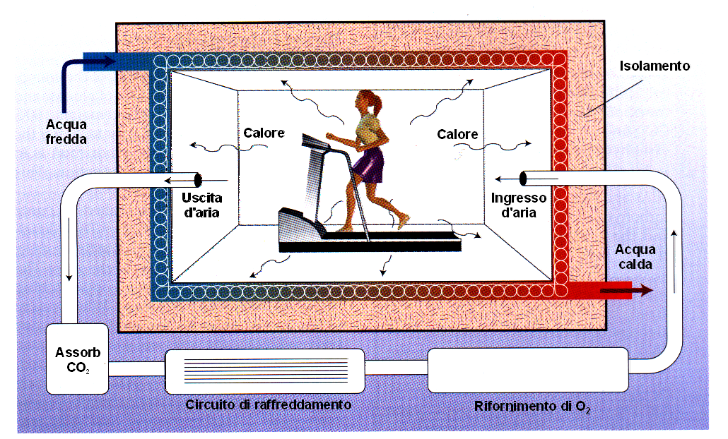 Calorimetria diretta Principio Metodo Stima del dispendio energetico dal calore prodotto Camera