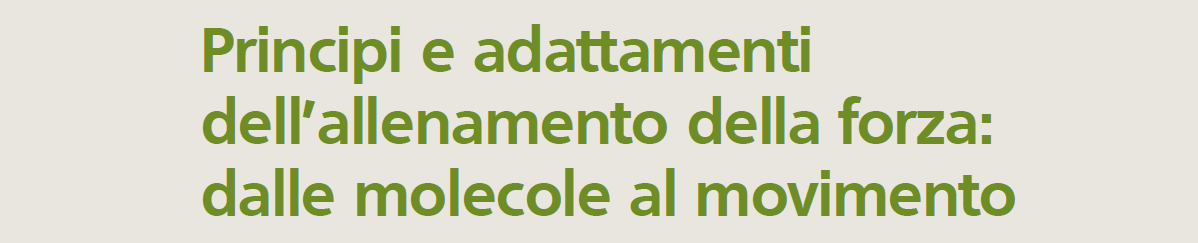 ALCUNI CONCETTI EMERSI Per ulteriori approfondimenti vedere