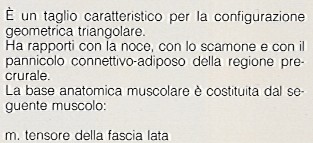 FIANCHETTO: taglio di terza categoria costituito solo da muscoli addominali.