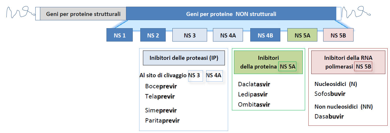 Da gennaio 2014 sono stati commercializzati in Europa una lunga serie di nuovi DAA: - sofosbuvir, inibitore nucleosidico della RNA polimerasi NS 5B e prodotto dalla ditta americana Gilead Sciences; -