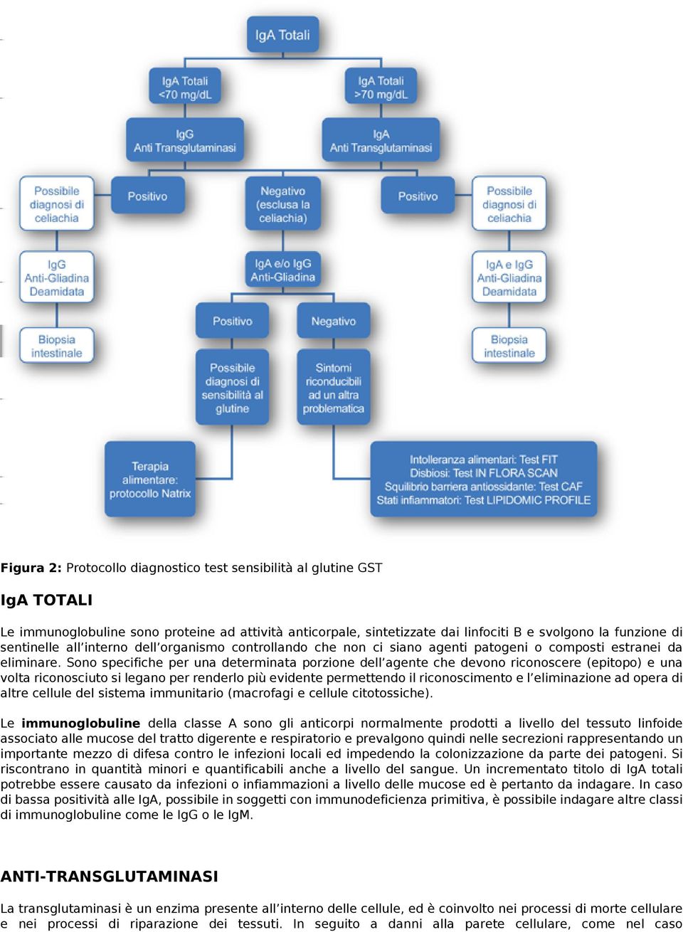 Sono specifiche per una determinata porzione dell agente che devono riconoscere (epitopo) e una volta riconosciuto si legano per renderlo più evidente permettendo il riconoscimento e l eliminazione