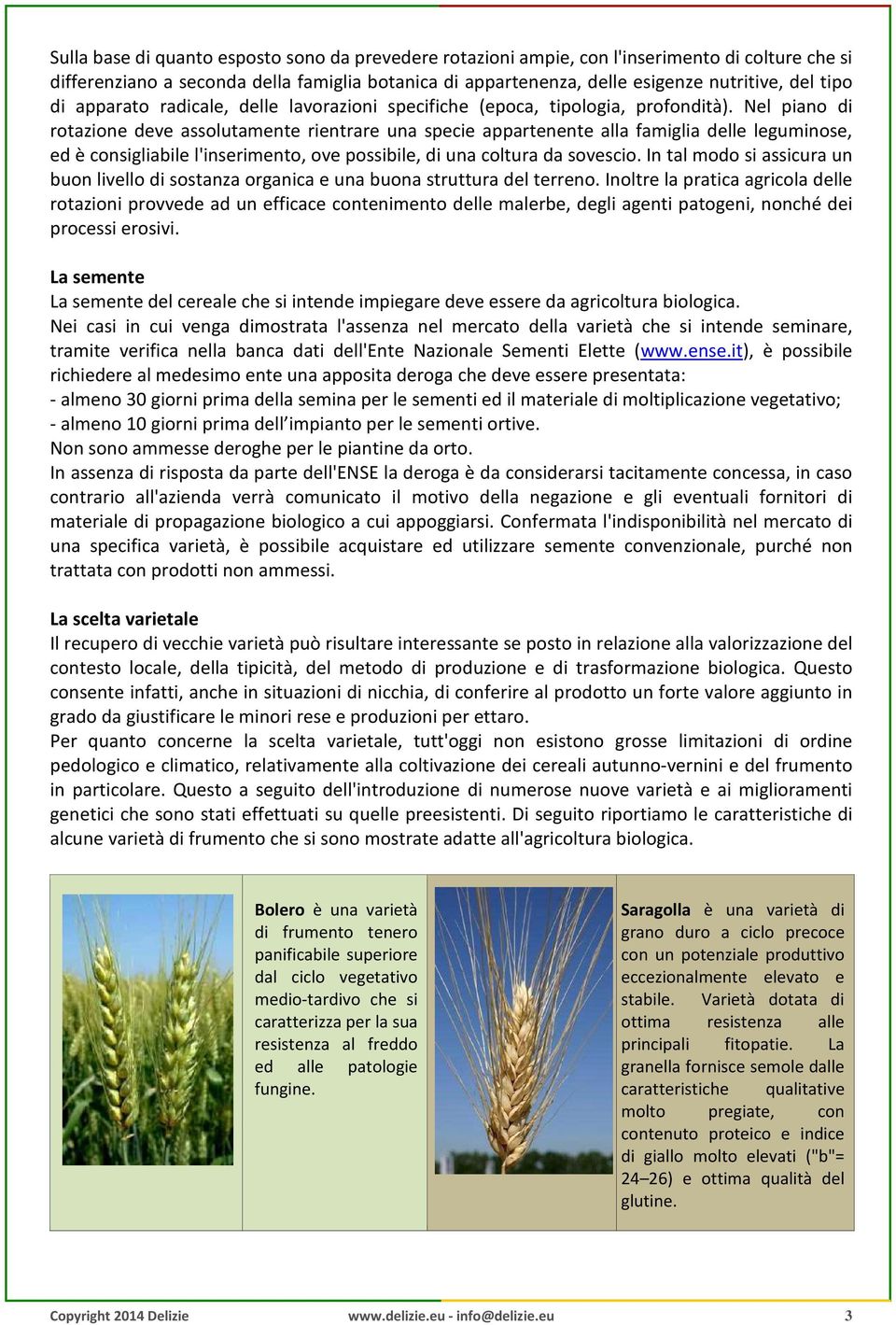 Nel piano di rotazione deve assolutamente rientrare una specie appartenente alla famiglia delle leguminose, ed è consigliabile l'inserimento, ove possibile, di una coltura da sovescio.