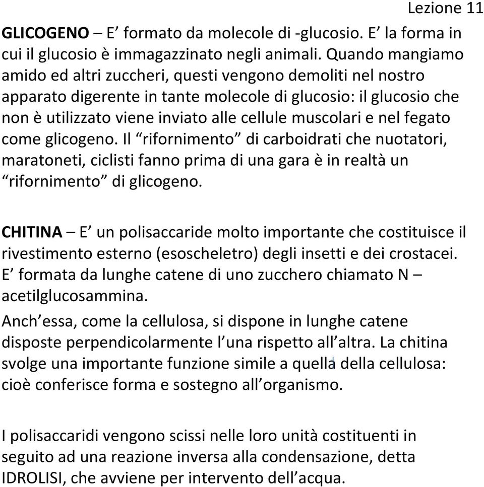 nel fegato come glicogeno. Il rifornimento di carboidrati che nuotatori, maratoneti, ciclisti fanno prima di una gara è in realtà un rifornimento di glicogeno.