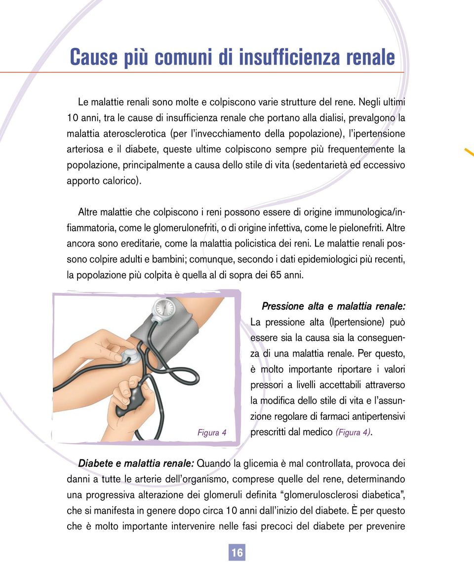 diabete, queste ultime colpiscono sempre più frequentemente la popolazione, principalmente a causa dello stile di vita (sedentarietà ed eccessivo apporto calorico).